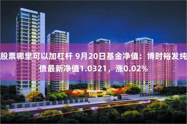 股票哪里可以加杠杆 9月20日基金净值：博时裕发纯债最新净值1.0321，涨0.02%