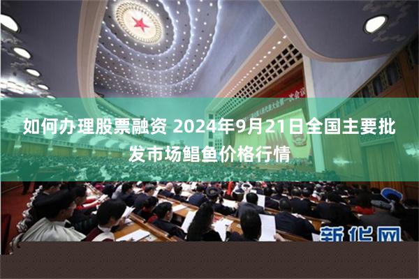 如何办理股票融资 2024年9月21日全国主要批发市场鲳鱼价格行情