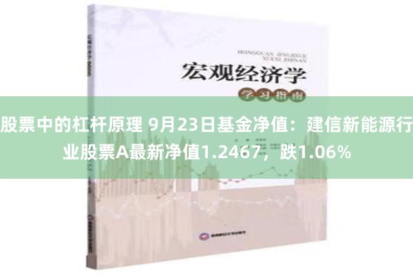 股票中的杠杆原理 9月23日基金净值：建信新能源行业股票A最新净值1.2467，跌1.06%