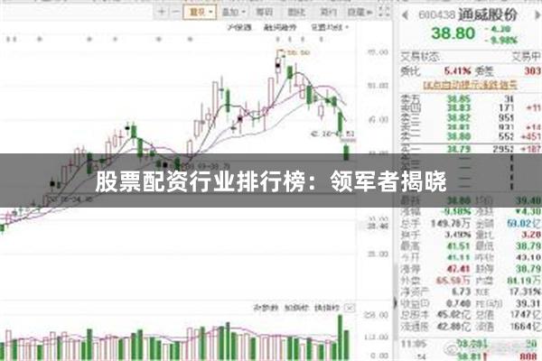 股票配资行业排行榜：领军者揭晓