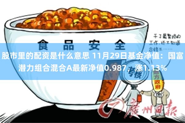 股市里的配资是什么意思 11月29日基金净值：国富潜力组合混合A最新净值0.987，涨1.13%