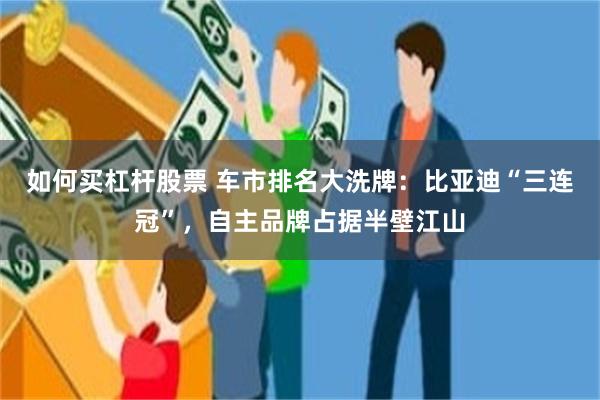 如何买杠杆股票 车市排名大洗牌：比亚迪“三连冠”，自主品牌占据半壁江山