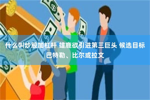 什么叫炒股加杠杆 雄鹿欲引进第三巨头 候选目标巴特勒、比尔或拉文