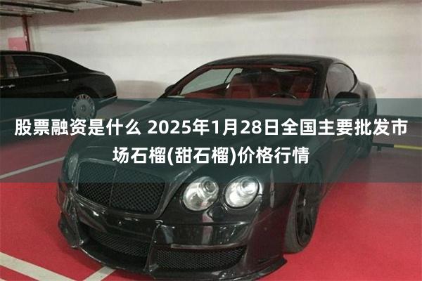 股票融资是什么 2025年1月28日全国主要批发市场石榴(甜石榴)价格行情