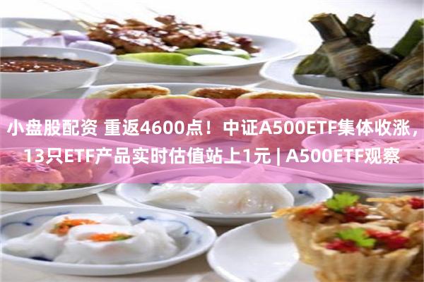 小盘股配资 重返4600点！中证A500ETF集体收涨，13只ETF产品实时估值站上1元 | A500ETF观察