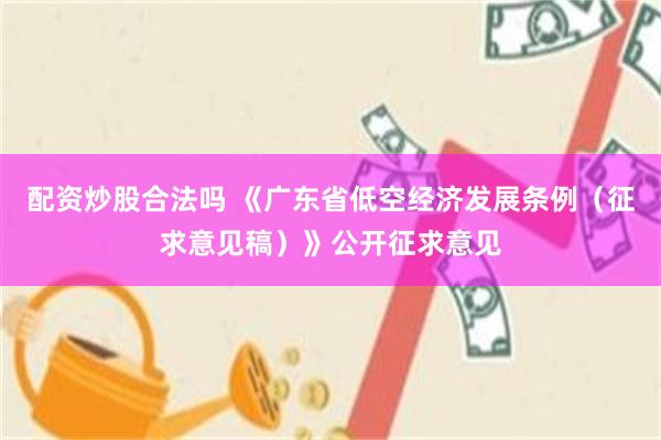 配资炒股合法吗 《广东省低空经济发展条例（征求意见稿）》公开征求意见