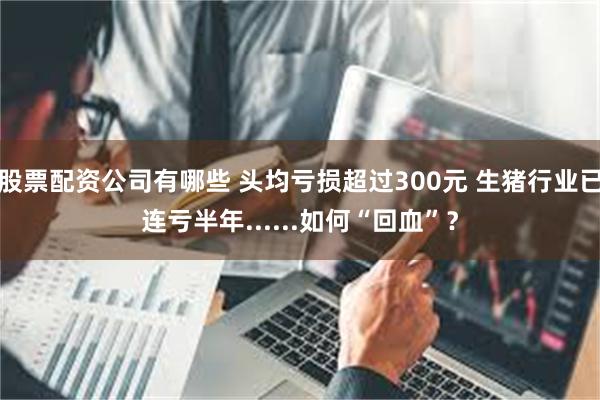 股票配资公司有哪些 头均亏损超过300元 生猪行业已连亏半年......如何“回血”？