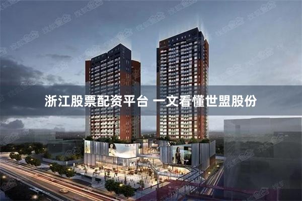 浙江股票配资平台 一文看懂世盟股份