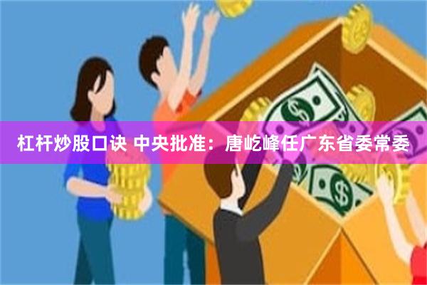 杠杆炒股口诀 中央批准：唐屹峰任广东省委常委