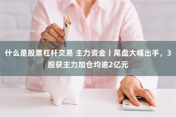 什么是股票杠杆交易 主力资金丨尾盘大幅出手，3股获主力加仓均逾2亿元