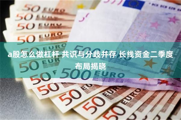 a股怎么做杠杆 共识与分歧并存 长线资金二季度布局揭晓