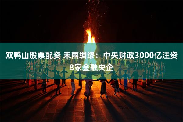 双鸭山股票配资 未雨绸缪：中央财政3000亿注资8家金融央企
