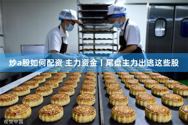 炒a股如何配资 主力资金丨尾盘主力出逃这些股