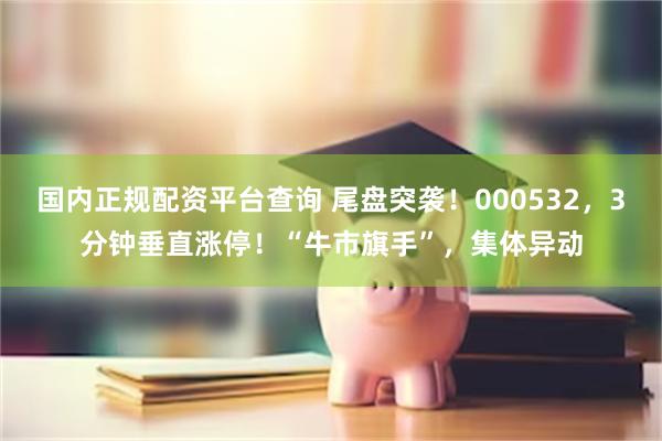 国内正规配资平台查询 尾盘突袭！000532，3分钟垂直涨停！“牛市旗手”，集体异动