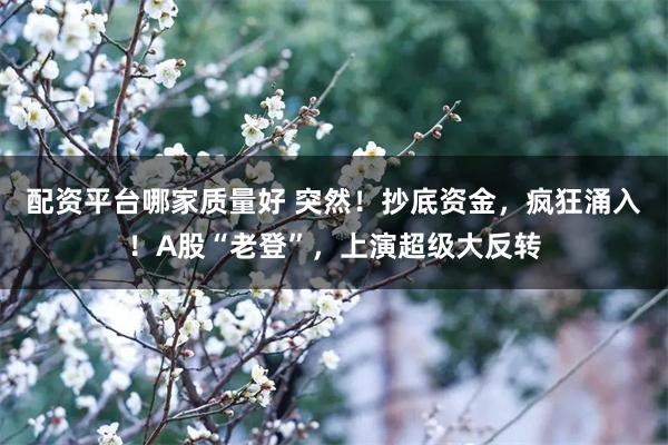 配资平台哪家质量好 突然！抄底资金，疯狂涌入！A股“老登”，上演超级大反转